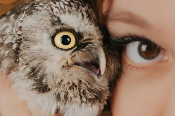 Kasyno Royal Winner Wsparcie